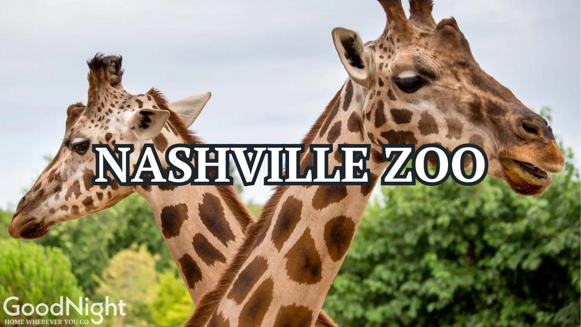 Rodeo-Rooftop Patio-Skyline Views-Near Broadway Nashville Semesterbostad